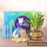 A Brilliant Present - YuvaFlowers