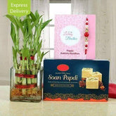 Bamboo Plant Rakhi Combo - YuvaFlowers