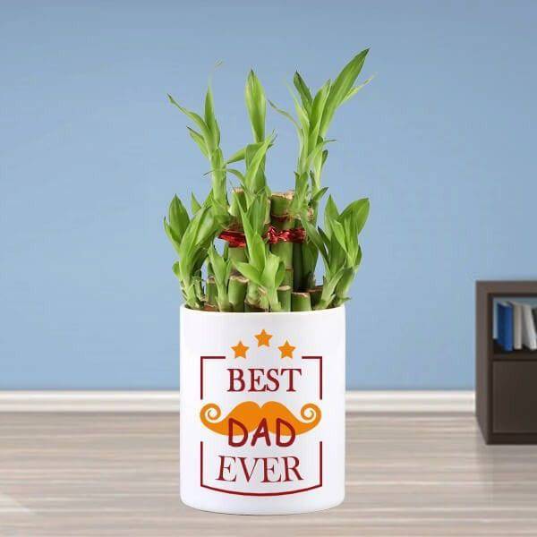 Best Dad Personalised Mug with 2 Layer Bamboo - YuvaFlowers