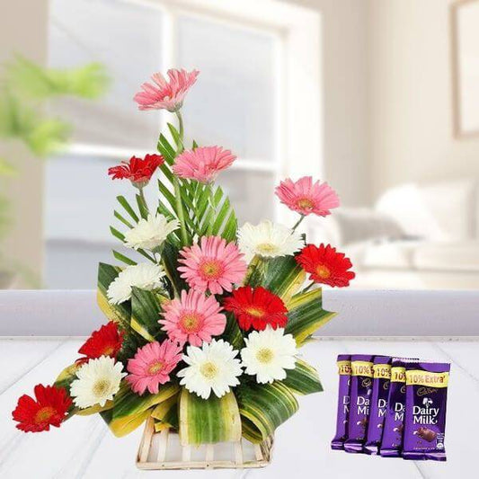 Cadbury with Basket of Mixed Gerberas - YuvaFlowers
