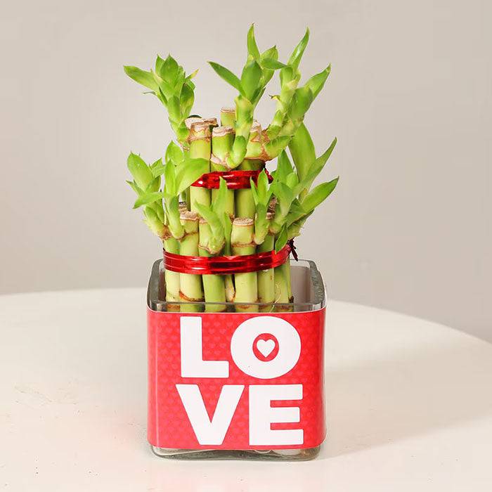 Let Us Double The Love - YuvaFlowers