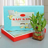 LUCKY WISHES WITH KAJU KATLI - YuvaFlowers