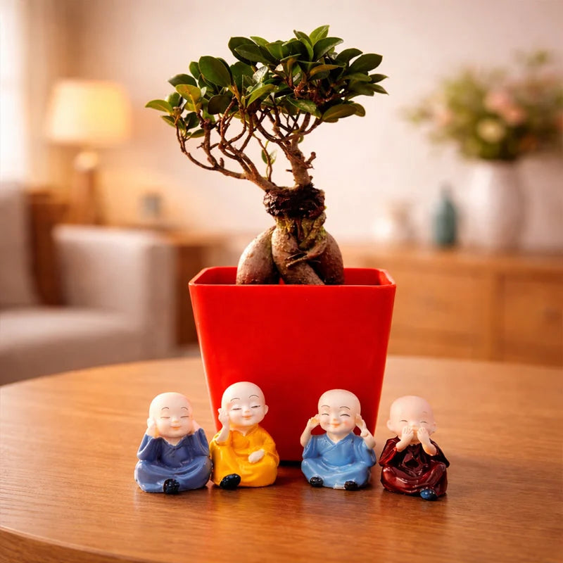 Buy Marvellous Bonsai Plant Online , Send Gifts To India