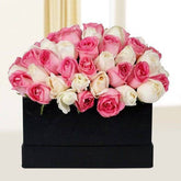 Peaceful Pink N White Roses - YuvaFlowers