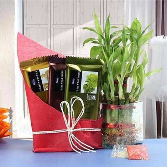 Prosperous Bamboo Surprise - YuvaFlowers