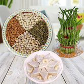 Radiance Of Celebration - YuvaFlowers