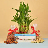 Stylish N Healthy Rakhi Surprise - YuvaFlowers