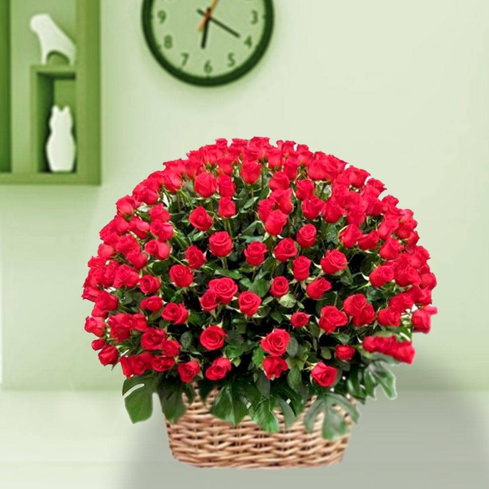 100 Red Colour Roses Basket - YuvaFlowers