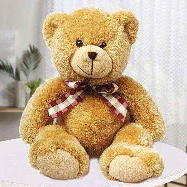 12 Inch Tall Teddy - YuvaFlowers