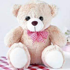 12 Inch Teddy - YuvaFlowers