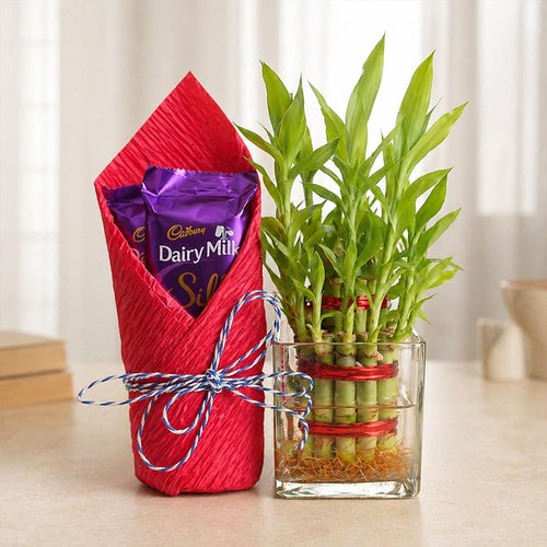 2 Layer Lucky Bamboo with Silk Online Gift Delivery