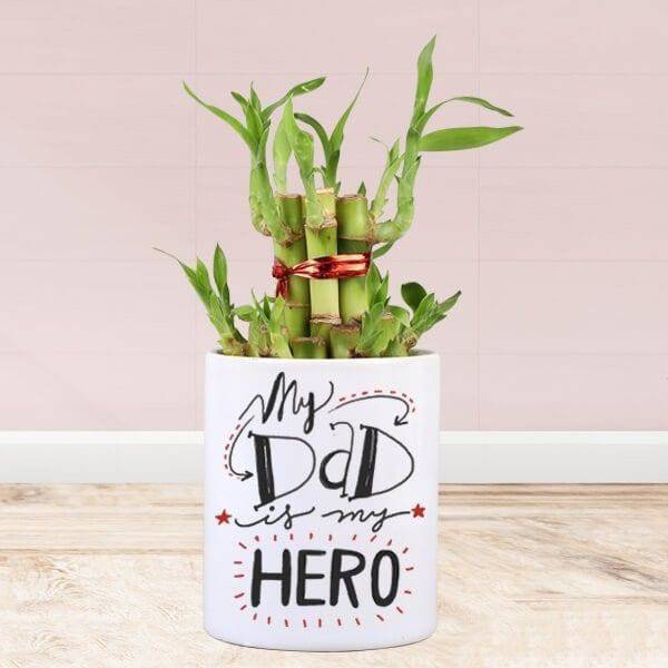 2 Layer Bamboo in My Dad My Hero Mug - YuvaFlowers