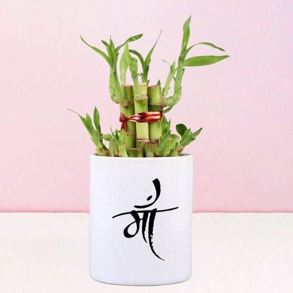 2 Layer-Bamboo Plant In Maa Mug - YuvaFlowers