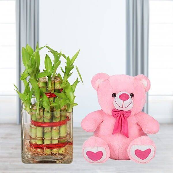 2 Layer Bamboo With Teddy - YuvaFlowers