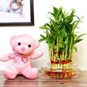 3 Layer Bamboo Exuberance - YuvaFlowers