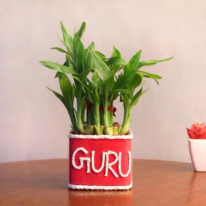 World's Best Guru - YuvaFlowers
