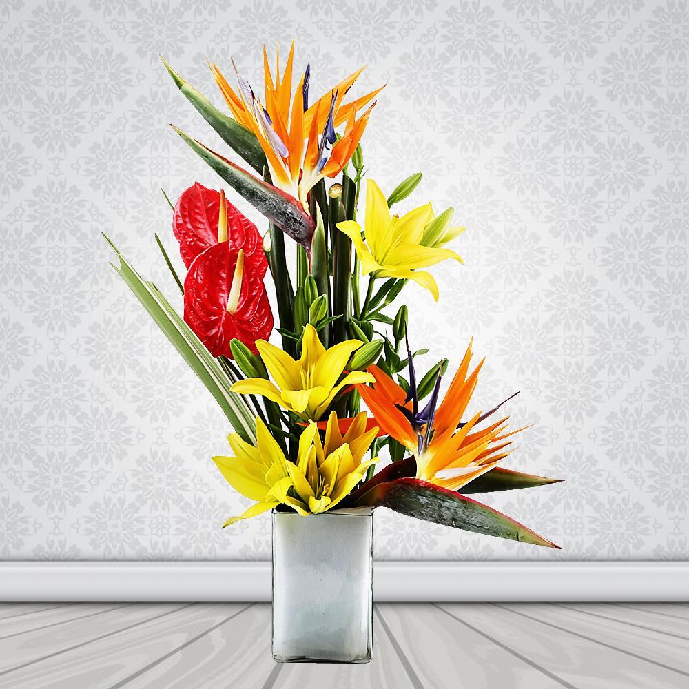 Anthurium & Birds of Paradise