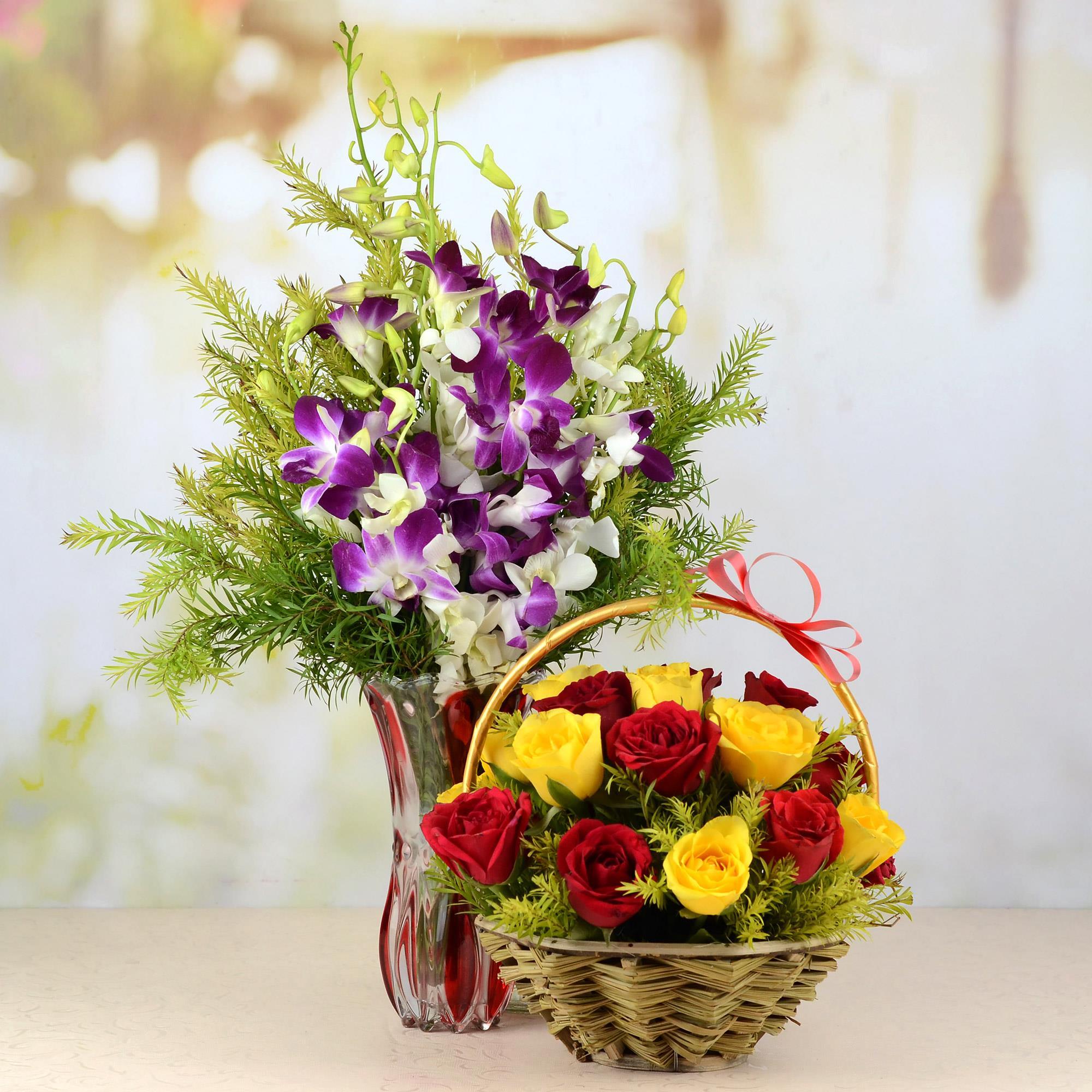 Combo of Amazing Flowers