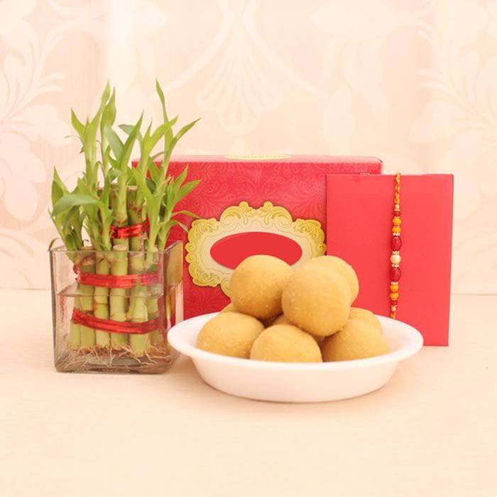 Bamboo with Besan Laddoo Rakhi Surprise - YuvaFlowers