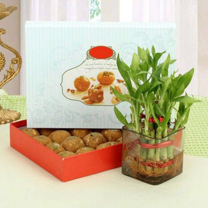 BESAN LADDOO WITH LUCK WISHES - YuvaFlowers