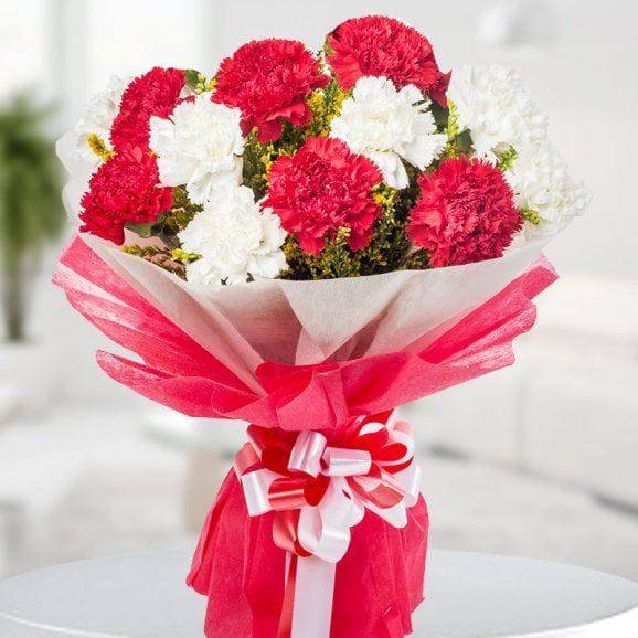 Carnations Carols - YuvaFlowers