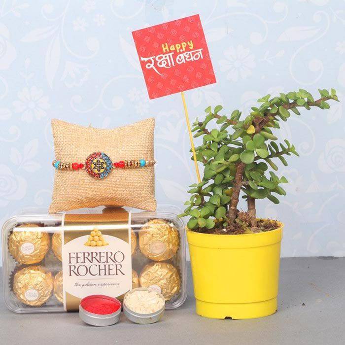 Chocolatey Jade Rakhi Combo Gift - YuvaFlowers