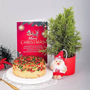 Christmas Delicious Mashup Dry Cake Combo - YuvaFlowers
