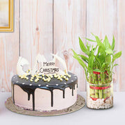 Classy Combo Treat - YuvaFlowers