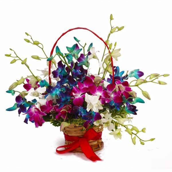 Colorful Fifteen Orchids Arrangement - YuvaFlowers