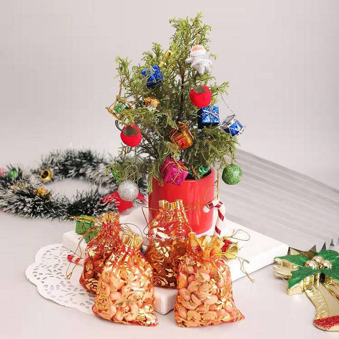 Cypress Tree With Dry Fruits - YuvaFlowers