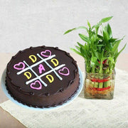 Delicious XOXO Cake with Lucky Bamboo - YuvaFlowers