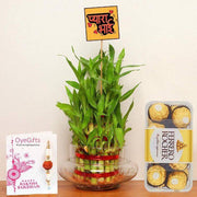 Designer Rakhi Bamboo Plant N Chocolates - YuvaFlowers