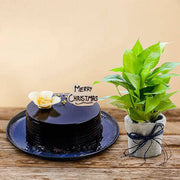 Fanciable Combo - YuvaFlowers