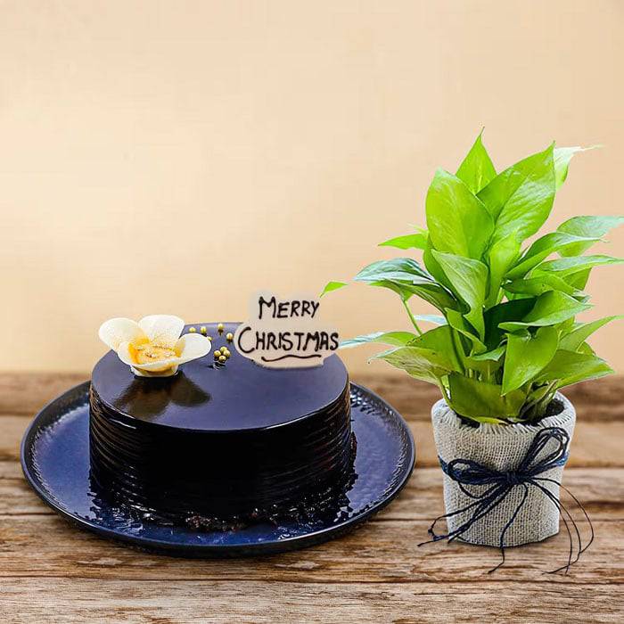 Fanciable Combo - YuvaFlowers