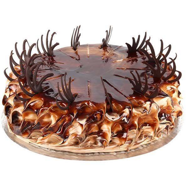 Fantastic Chocolate Cake 1 kg - YuvaFlowers