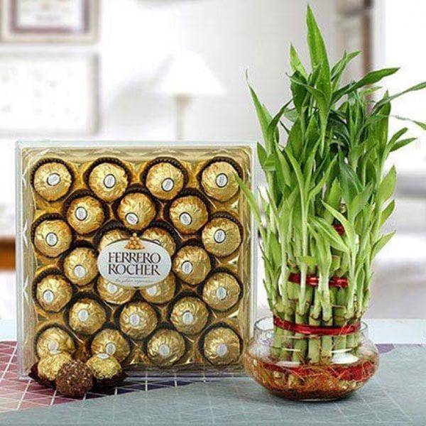 FERRERO ROCHER WITH THREE LAYER BAMBOO PLANT - YuvaFlowers