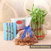 Heart Touching Present - YuvaFlowers
