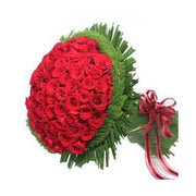 Hulk Roses - YuvaFlowers