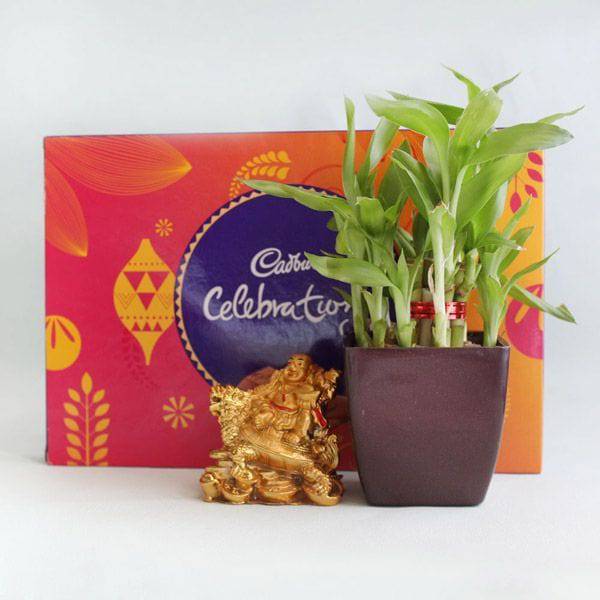 Lucky Celebrations Hamper - YuvaFlowers