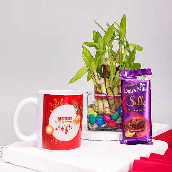 Merry Christmas Bamboo Plant Combo - YuvaFlowers