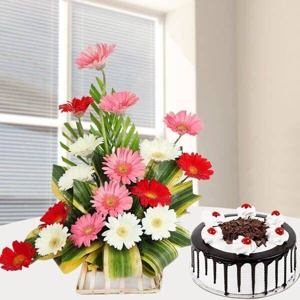 Mix Gerbera Arrangement With Cake - YuvaFlowers