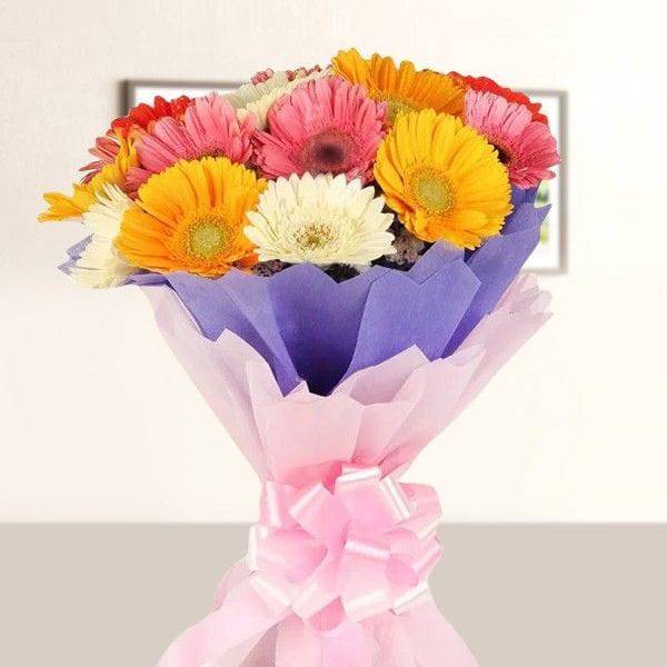 Mixed Gerbera Bunch - YuvaFlowers