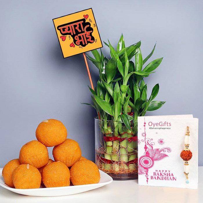 Motichoor Ladoo N Bamboo Plant Rakho Combo - YuvaFlowers