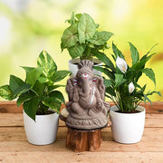Eco Friendly Ganesh Chaturthi Gift