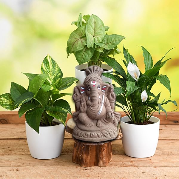 Eco Friendly Ganesh Chaturthi Gift