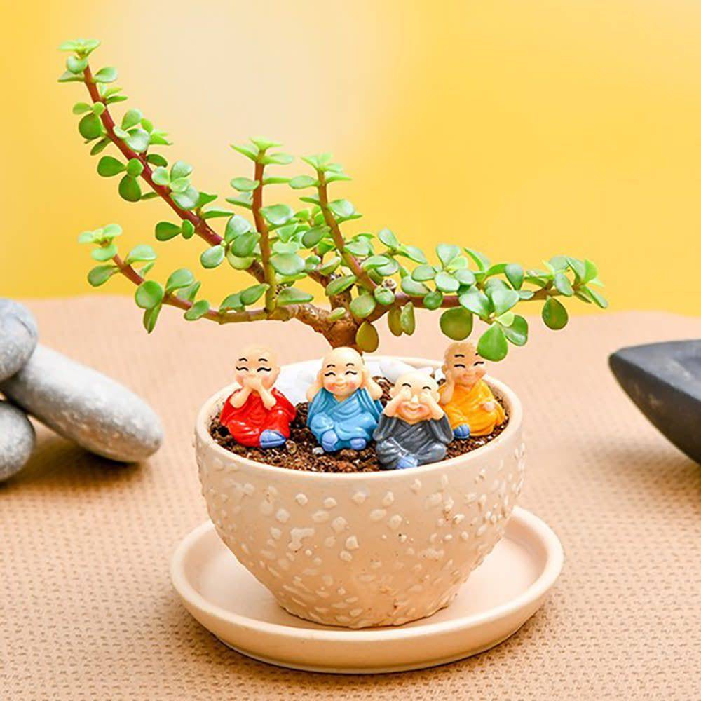 Occasions With Jade Plant And Cute Monks - YuvaFlowers