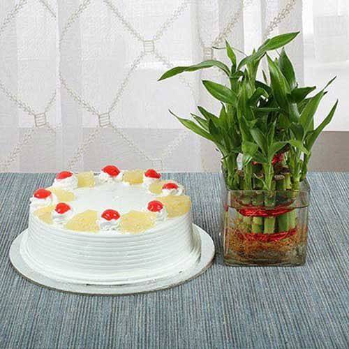 Pineapple Cake N Lucky Bamboo - YuvaFlowers