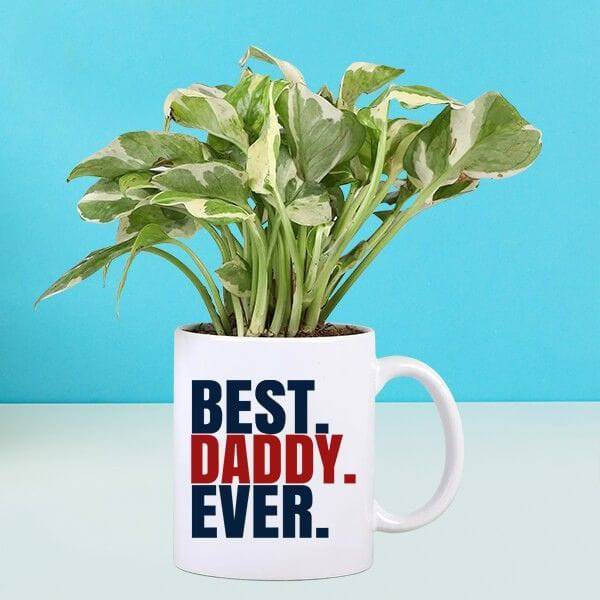 Pothos Plant In Best Dad Ever Mug - YuvaFlowers