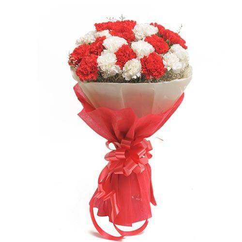 Red N White Carnations - YuvaFlowers