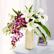 Royal Love surprise - YuvaFlowers